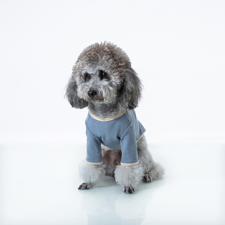 Pull en tricot pour animaux de compagnie de créateur de pull de petit chien personnalisé pour chiot mignon