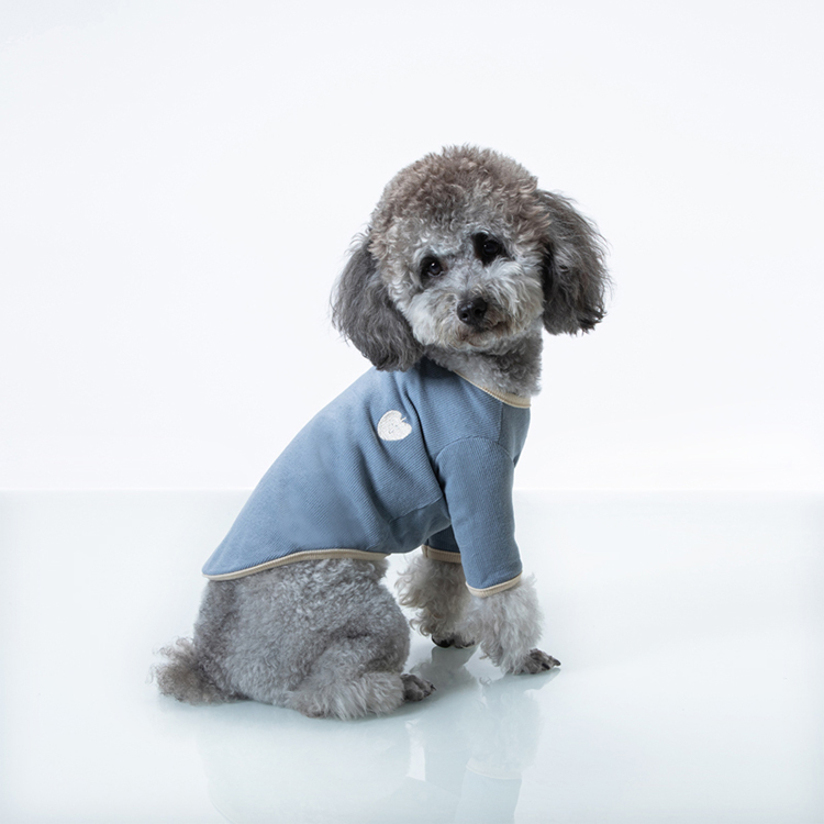 Pull en tricot pour animaux de compagnie de créateur de pull de petit chien personnalisé pour chiot mignon