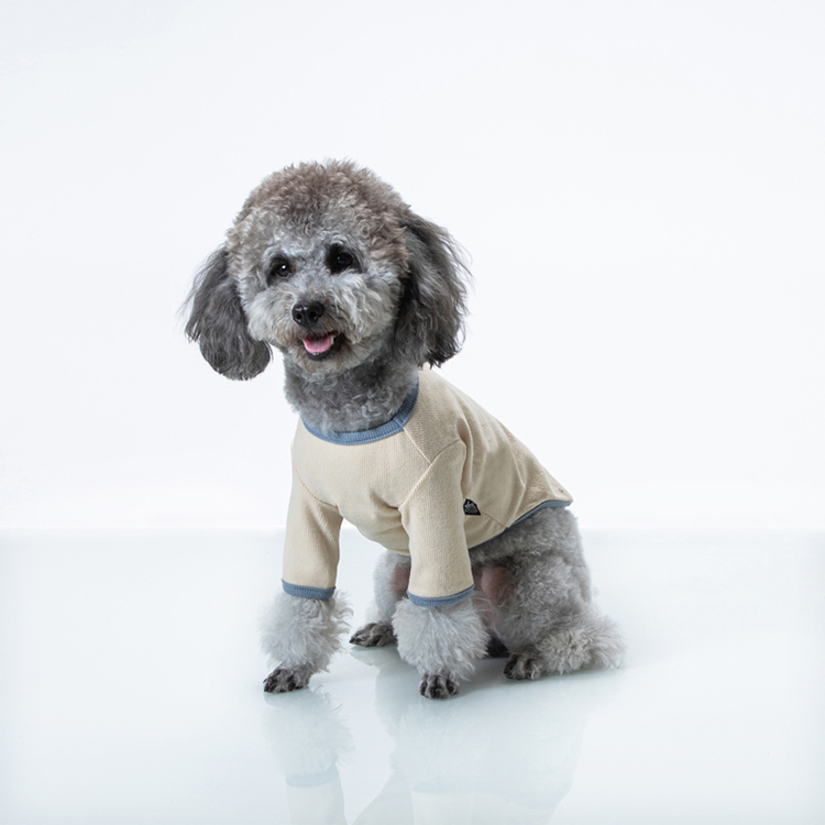 Pull en tricot pour animaux de compagnie de créateur de pull de petit chien personnalisé pour chiot mignon